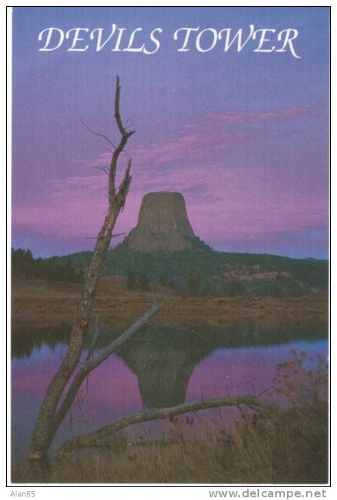 Devil's Tower WY Wyoming, National Monument, Geology, C1980s/90s Vintage Postcard - Altri & Non Classificati