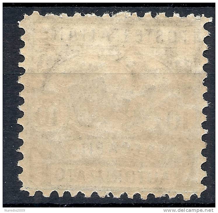 1928 REGNO RECAPITO AUTORIZZATO 10 CENT D.11 LUSSO MNH ** - RR10660 - Eilsendung (Eilpost)