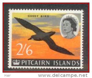 Pitcairn 48 **  Oiseaux - Birds - Pitcairn Islands