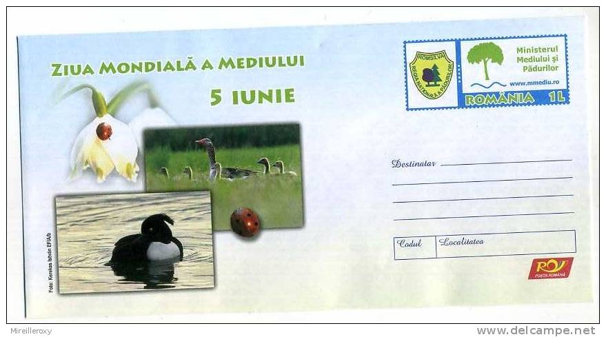 ENTIER POSTAL ROUMANIE  OISEAU OIE COCCINELLE - Geese