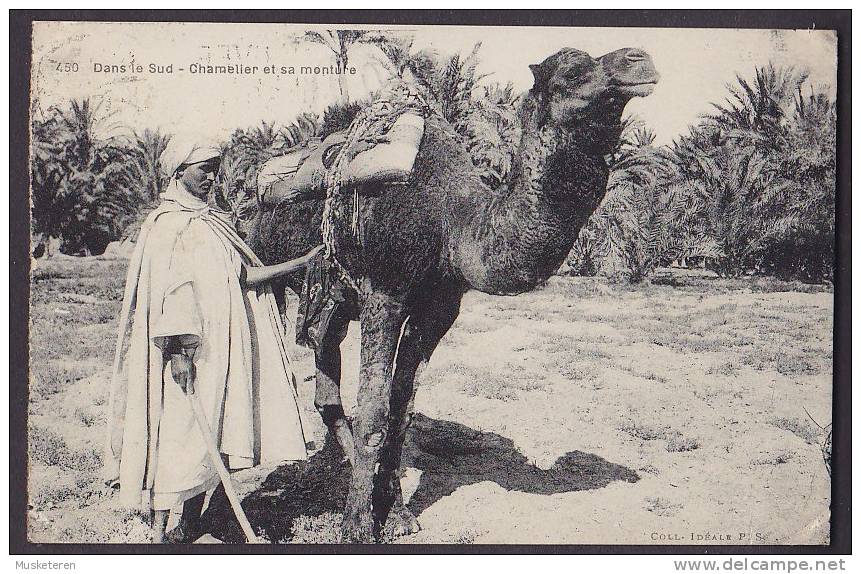 Algeria CPA Dans Le Sud - Chamelier Et Sa Monture Animation Animée Man & Camel BISKRA 1928 Sent To Denmark (2 Scans) - Hommes