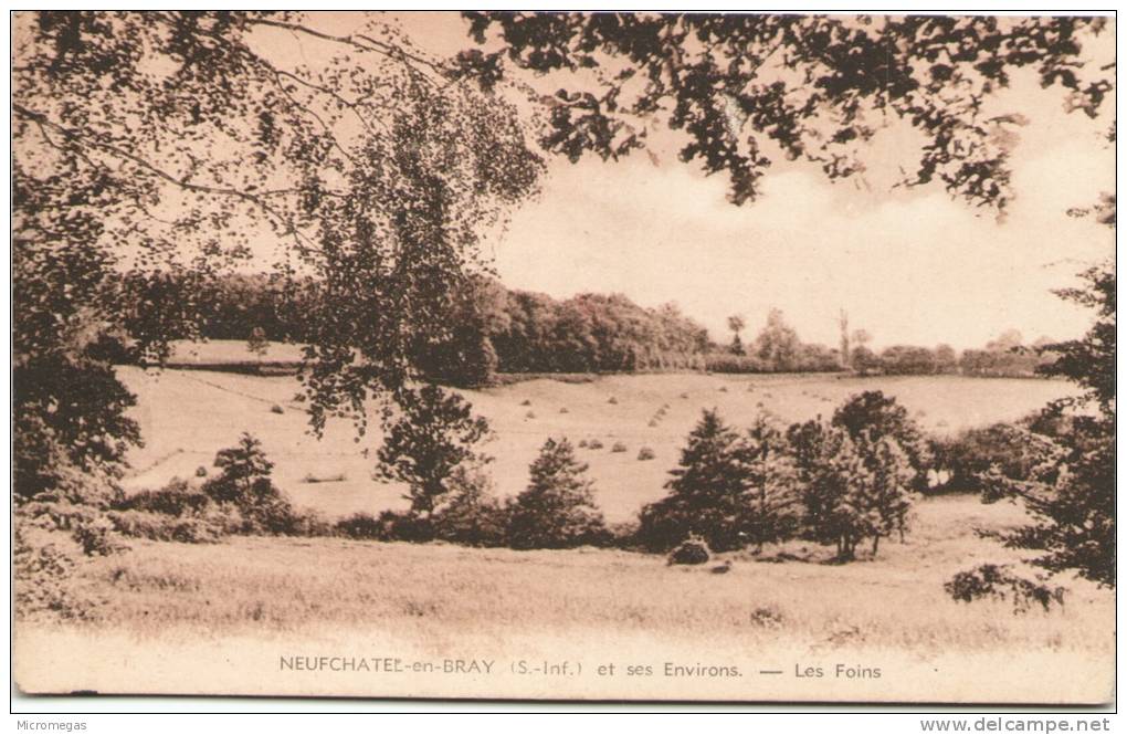 NEUFCHATEL-en-BRAY Et Ses Environs - Les Foins - Neufchâtel En Bray