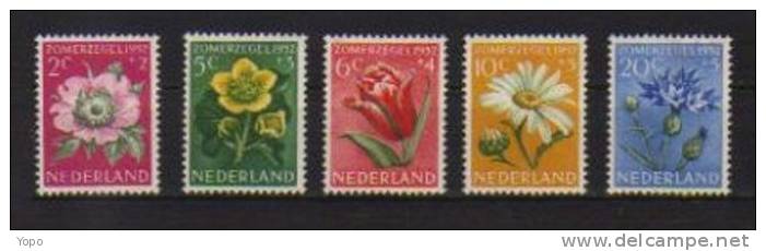 PAYS BAS : Année 1952, Série Complète Fleurs, N°569 à 573  (5 Timbres), - MNH -Neufs Sans Trace De Charnière - Unused Stamps