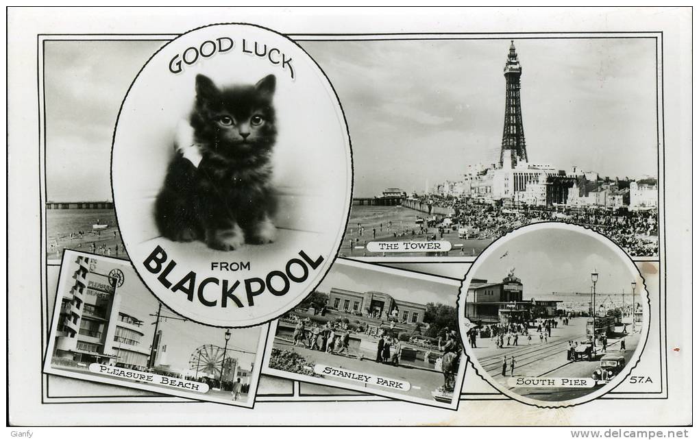 UNITED KINGDOM REGNO UNITO ROYAUME UNI BLACKPOOL CAT 1958 - Blackpool