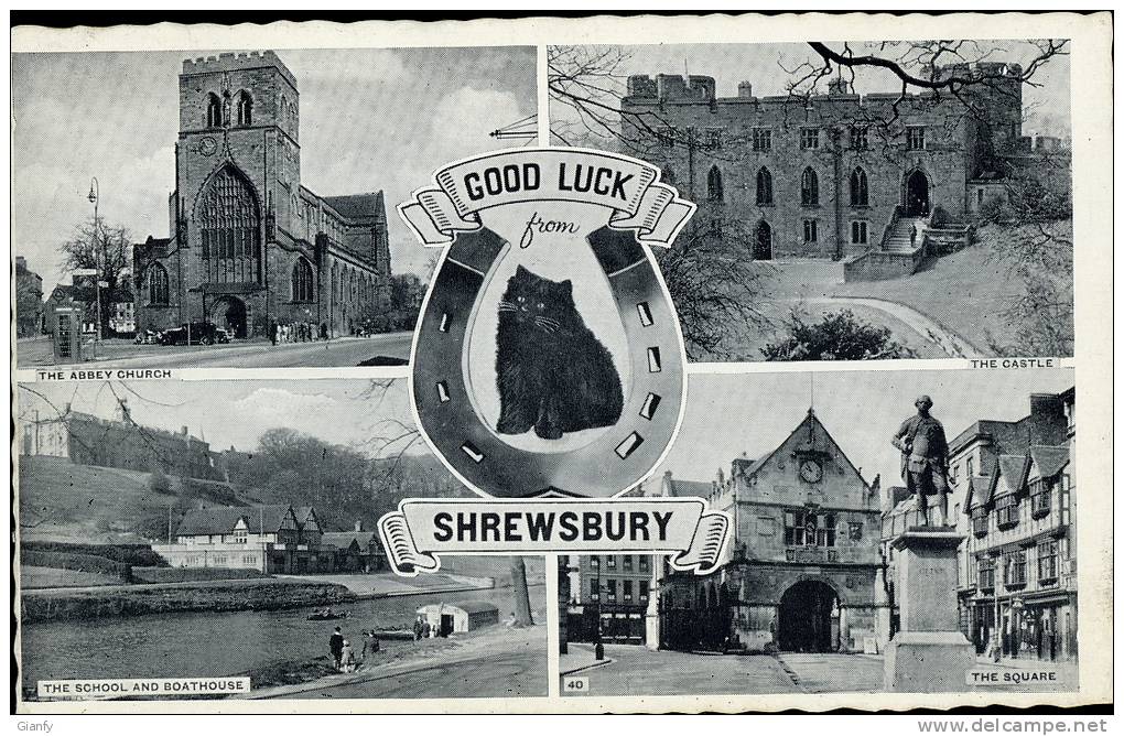 UNITED KINGDOM REGNO UNITO ROYAUME UNI SHREWSBURY CAT 1959 - Shropshire