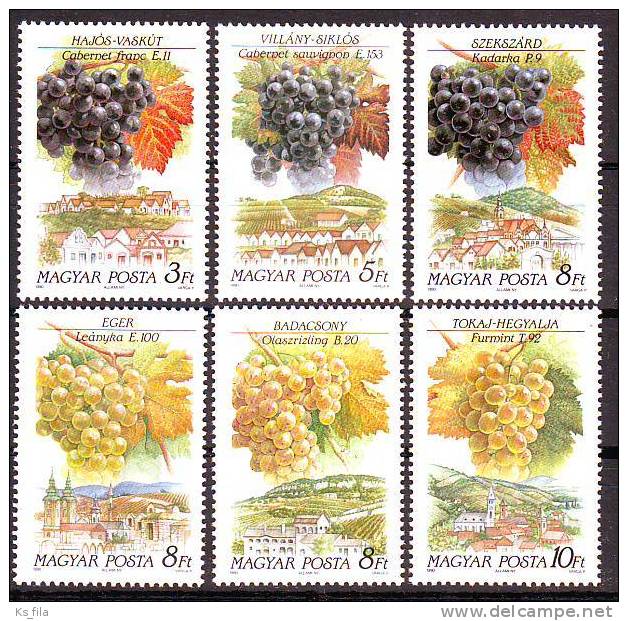 HUNGARY - 1990. Wine Grapes And Regions - MNH - Neufs