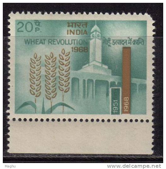 India MNH 1968,  Wheat Revolution, Ariculture., Research, Science - Ungebraucht