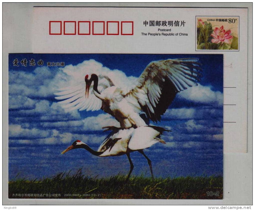 Red-crowned Crane Bird,China 2008 Qiqiha´er Zhalong Wetland Nature Reserve Landscape Pre-stamped Card - Cranes And Other Gruiformes