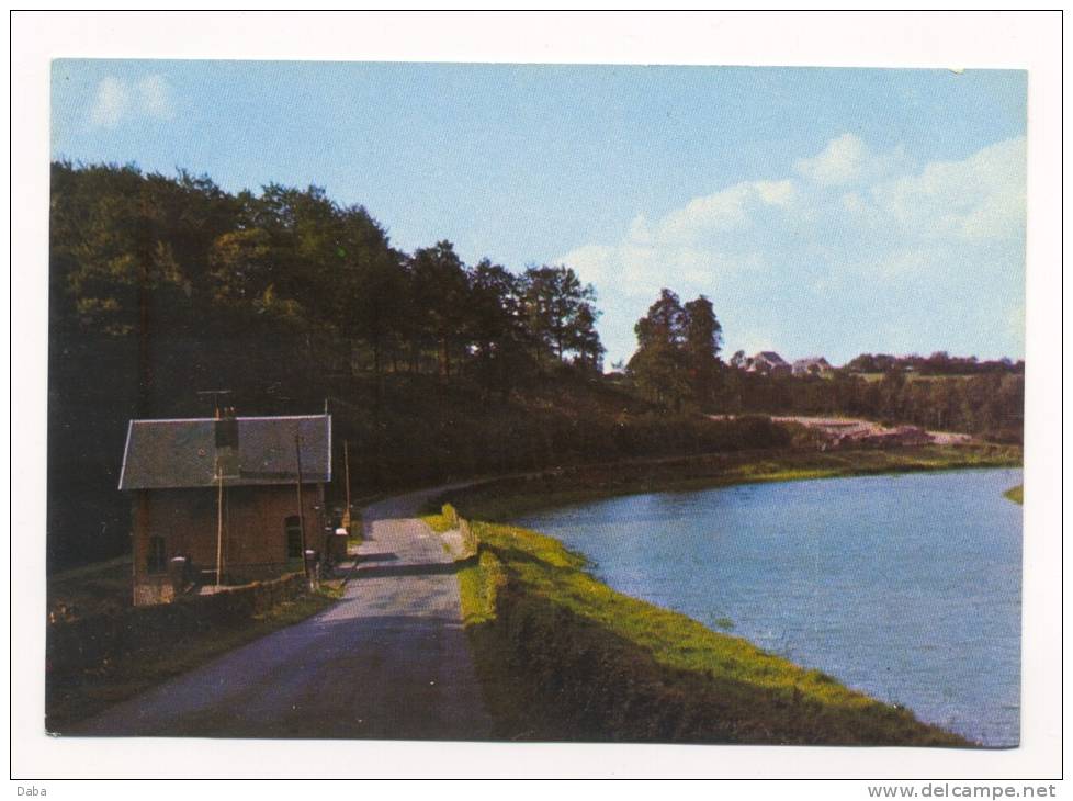 Solre-le-Chateau. Les Environs. L'Etang De Borzies. - Solre Le Chateau