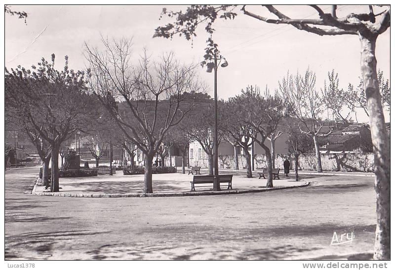 83 / LE BEAUSSET / PLACE DE LA LIBERTE / EDIT ARY - Le Beausset