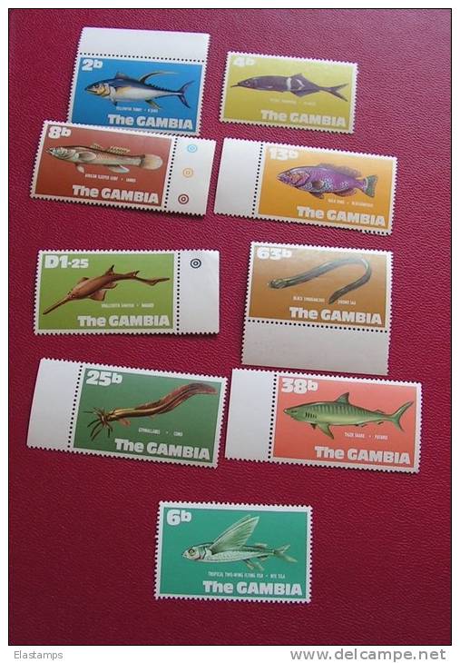 =GAMBIA Pc.9 Fische**MNH - Gambia (1965-...)