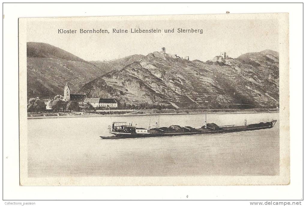 Cp, Péniche, KLoster Bornhofen, Ruine Liebenstein Und Sternberg - Hausboote