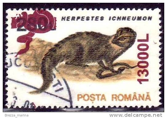 ROMANIA - USATO - 2001 - Herpestes Ichneumon - 13000 L - Oblitérés