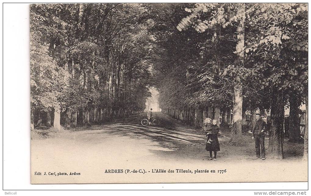 ARDRES  (P. De C.)  -  L'Allée Des Tilleuks, Plantés En 1776 - Ardres