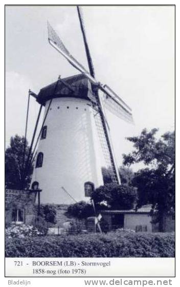 BOORSEM Bij Maasmechelen (Limburg) - Molen/moulin - Blauwe Prentkaart Ons Molenheem Van Molen De Stormvogel In 1978 - Maasmechelen