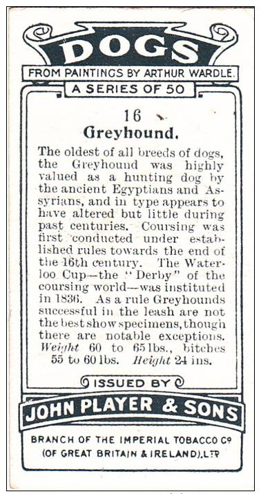 PLAYER DOGS BY WARDLE CARD No. 16 GREYHOUND - Player's