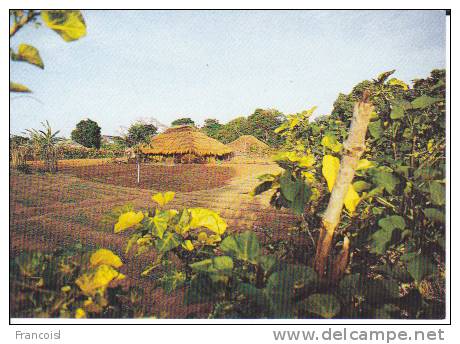 Village Africain (Yalogo?). Iles De Paix. Cases, Potager - Burkina Faso