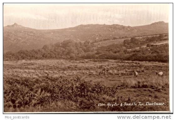 Devon - Haytor & Saddle Tor, Dartmoor    AF134 - Other & Unclassified