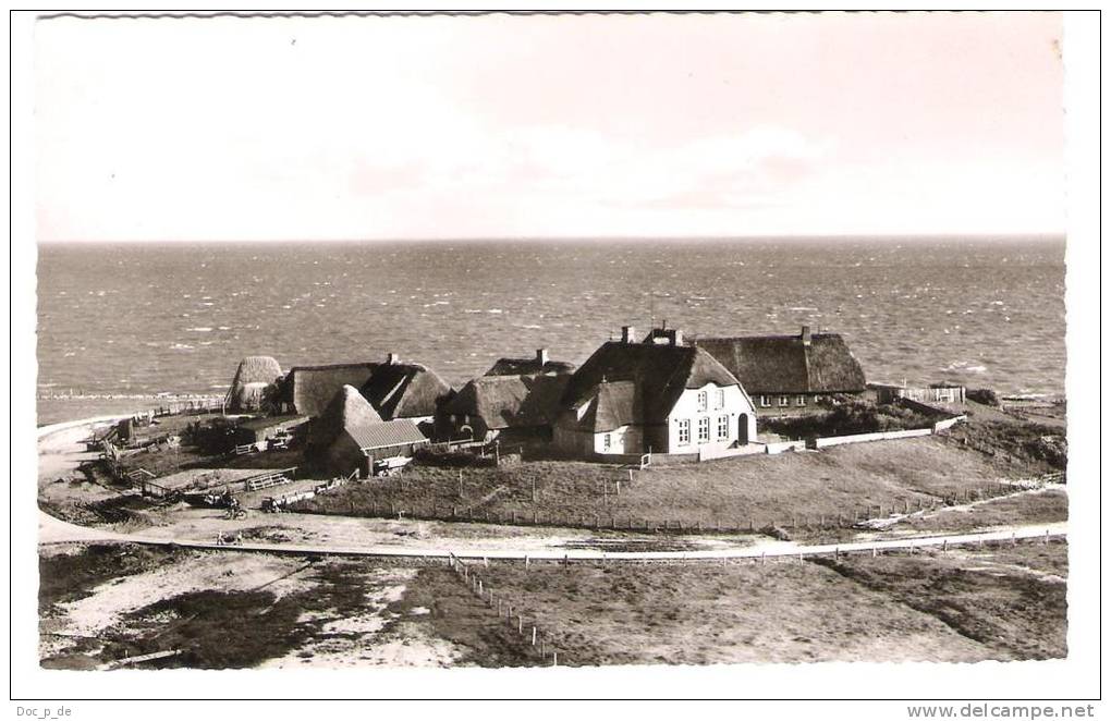 Deutschland - Hallig Langeness - Warft Hilligenlei - Nordfriesland