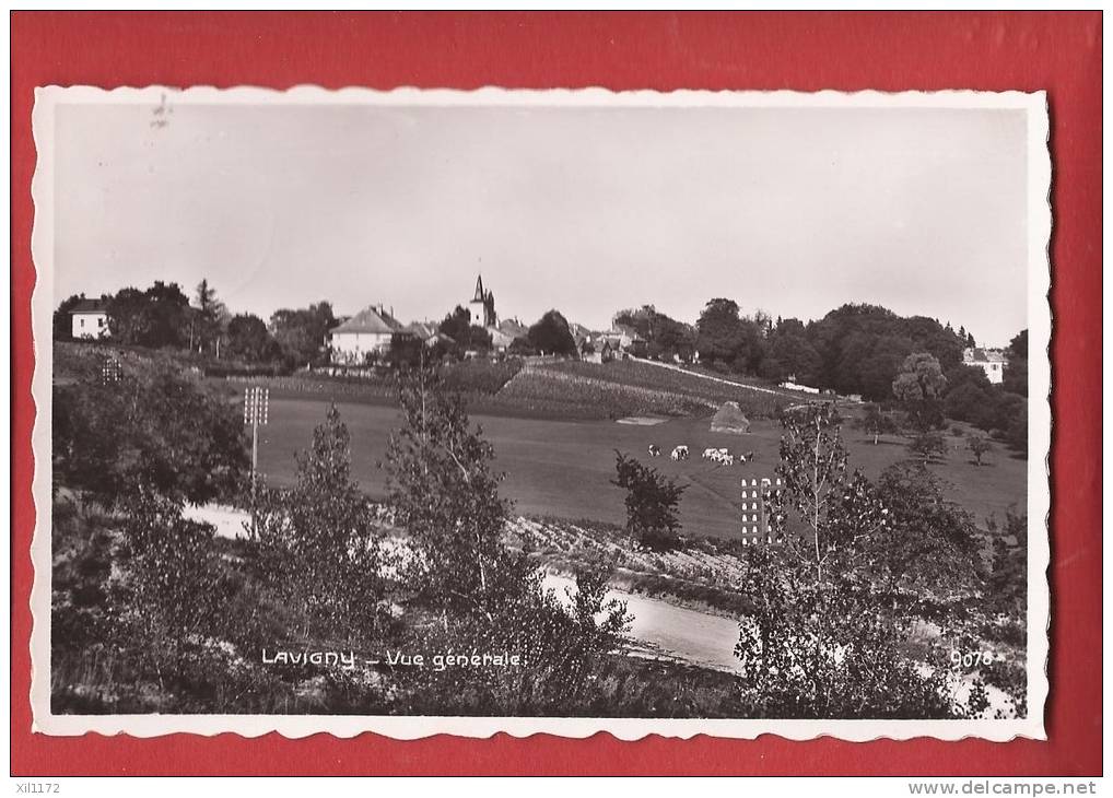 P1015 Lavigny Vue Générale, Troupeau De Vaches. Cachet Lavigny 1944 Perrochet 9078 - Lavigny