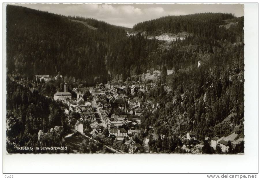 Triberg Im Schwarzwald 1961 - Triberg