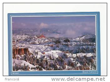 Etats-Unis. Utah. Bryce Canyon. Sunset Point. Winter - Bryce Canyon