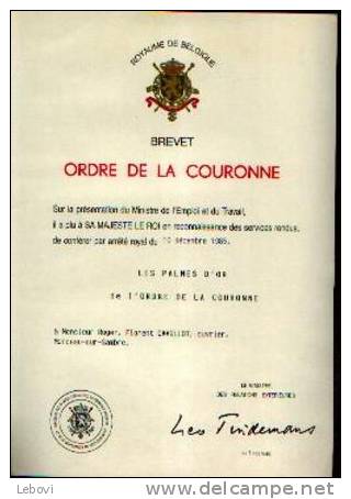 Diplôme Des Palmes D'or De L'ordre Dela Couronne - Livres & Logiciels