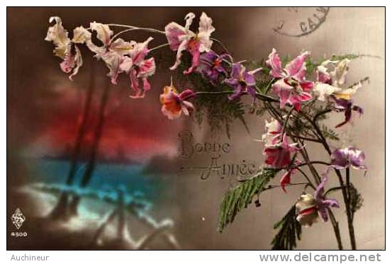 Fleur Orchidée - Bonne Année (sar 4500) - Autres & Non Classés