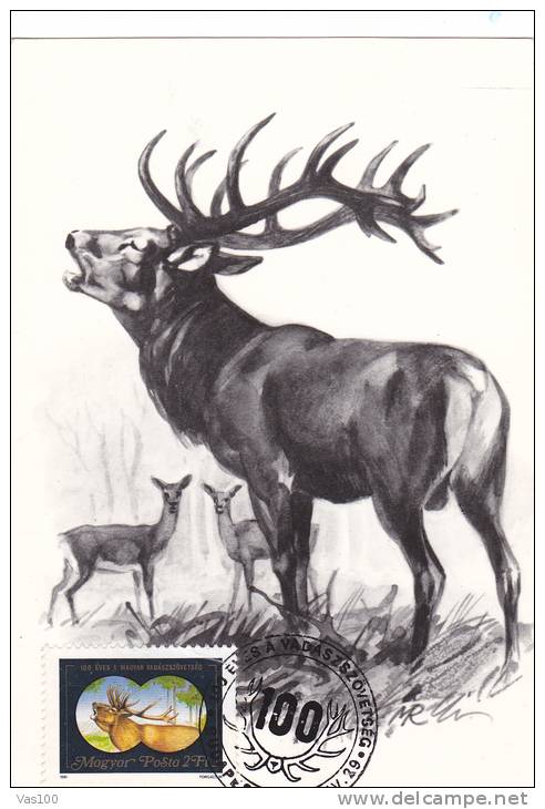 DEER, 1981, CM. MAXI CARD, CARTES MAXIMUM, ROMANIA - Wild