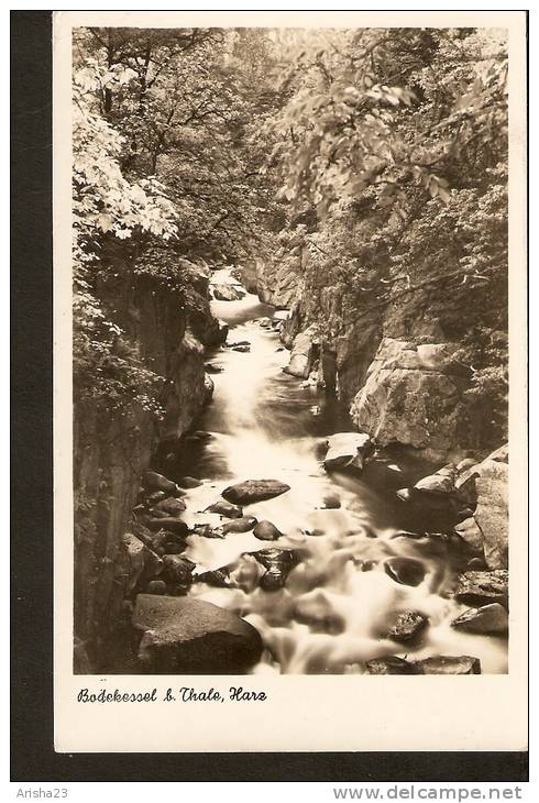 504. Germany, Bodekessel B. Thale Harz - Passed Post In 1940 - Echt Real Photo - Thale