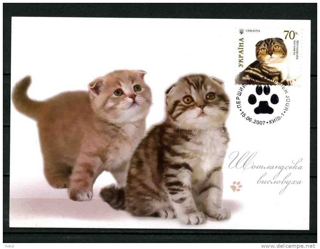 Ukraine CATS I DOMESTIC ANIMALS 2007 MC #2 - Gatti