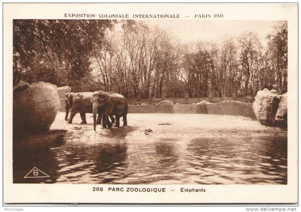 Paris - Exposition Coloniale Internationale 1931- Parc Zoologique - Eléphants - Elefantes