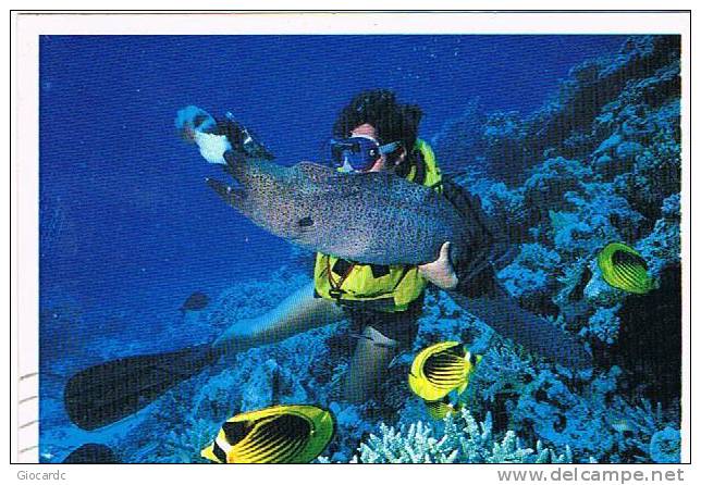 EGITTO (EGYPT)  - STORIA POSTALE -  POST CARD FOR ITALY- FISH: MORAY EEL (GYMNOTHORAX FLAVIMARGINATUS)  -  RIF. 285 - Lettres & Documents