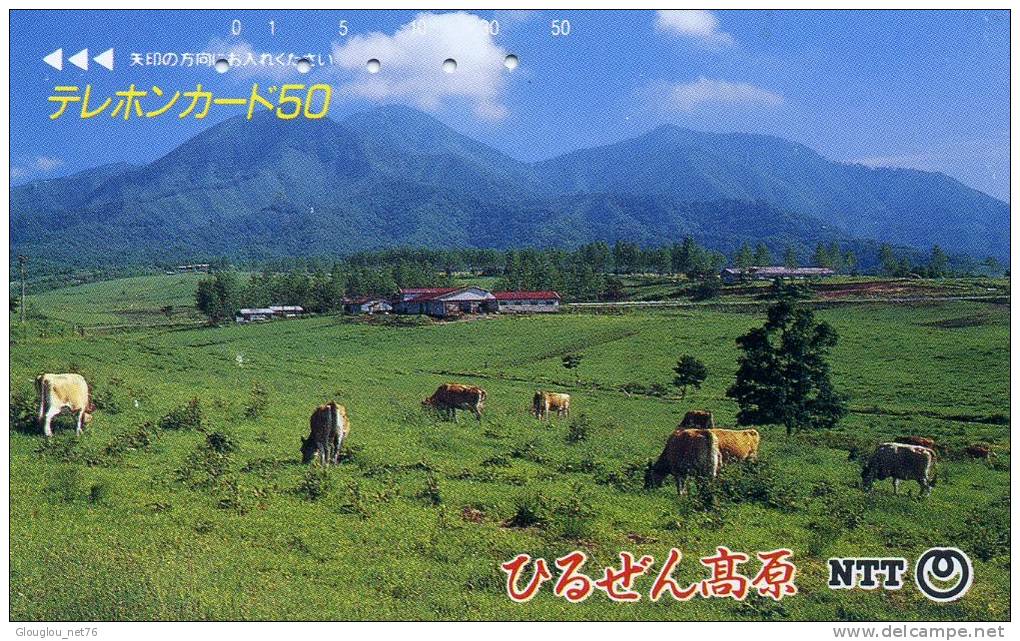 TELECARTE JAPONAISE....VACHES  ....VOIR SCANNER - Mucche