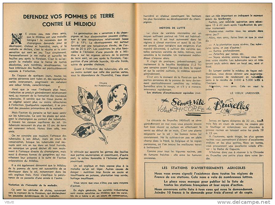 L&acute;AMI DES JARDINS (juin 1948) : La Maison, La Basse-Cour, Le Rucher (55 Pages) Mildiou, Poiriers, églantiers... - Jardinería