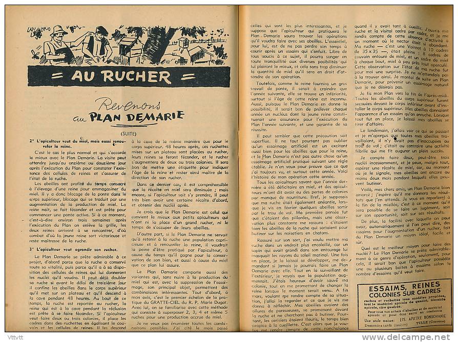 L&acute;AMI DES JARDINS (juin 1948) : La Maison, La Basse-Cour, Le Rucher (55 pages) Mildiou, poiriers, églantiers...