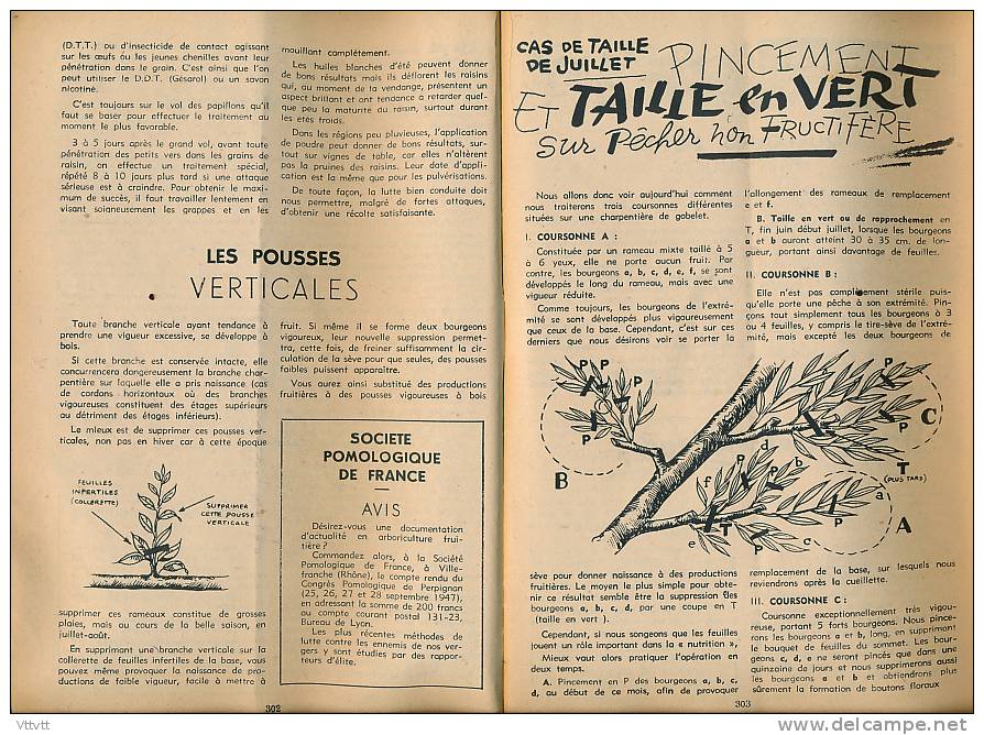 L&acute;AMI DES JARDINS (juillet 1948) : La Maison, La Basse-Cour, Le Rucher (55 Pages) Les Choux, Taille En Vert Sur Pê - Garden