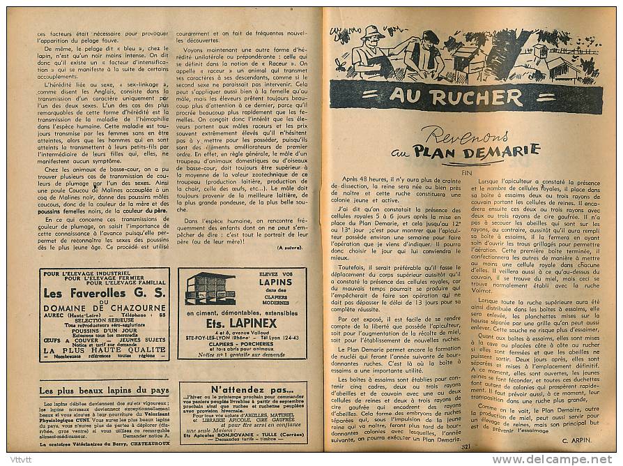 L&acute;AMI DES JARDINS (juillet 1948) : La Maison, La Basse-Cour, Le Rucher (55 pages) les choux, taille en vert sur pê