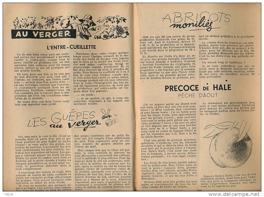 L&acute;AMI DES JARDINS (aout 1948) : La Maison, La Basse-Cour, Le Rucher (45 Pages) Pommier, Engrais, Aubergine, Harico - Jardinage