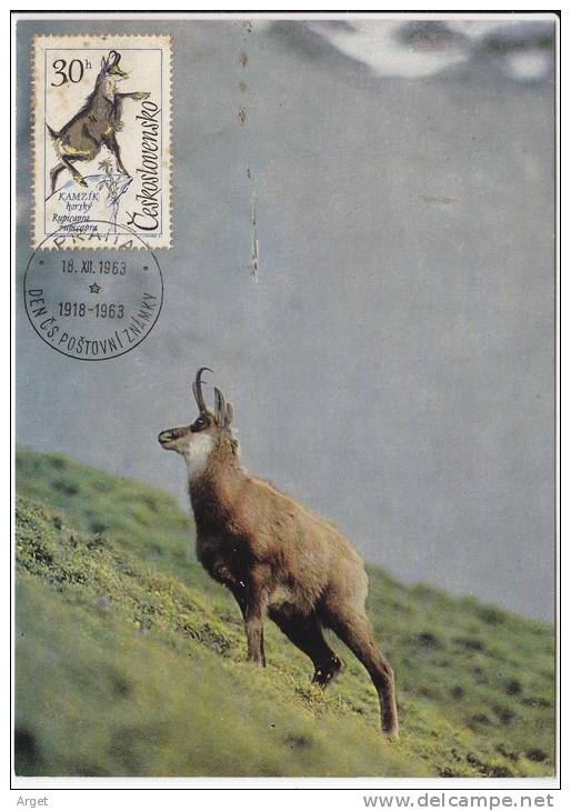 Carte Maximum TCHECOSLOVAQUIE  N° Yvert  1306 (CHAMOIS) Obl Sp 1963 - Lettres & Documents