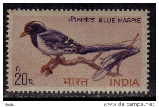 India MNH 1968., 20p Red Billed Blue Magpie, Bird. - Neufs