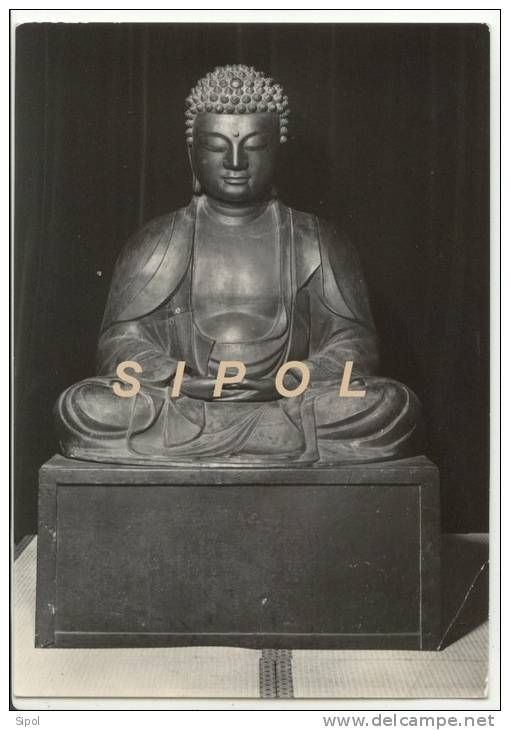 Rijksmuseum Voor Volkenkunde Leiden Nederland De  Dhyani- Buddha Amitabha - Bouddhisme