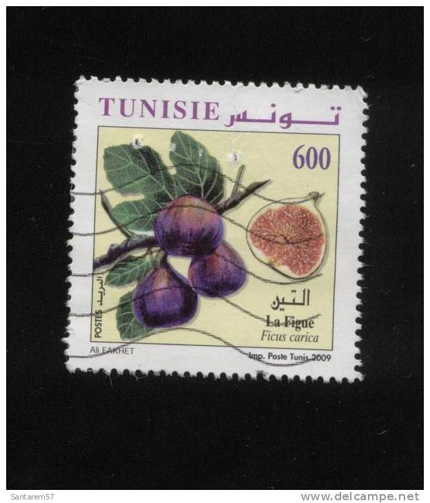 Timbre Oblitéré Used Stamp TUNISIE La Figue Ficus Carica 600 2009 WNS N° TN014.09 - Tunesien (1956-...)