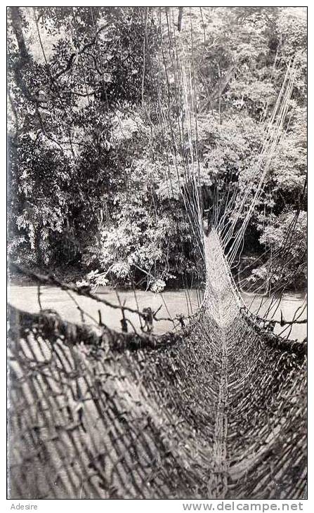 1950, GUINEE - PONT DE LIANES, Dschungel, Hängebrücke Aus Lianen, Nicht Gelaufen 1950 - Guinea