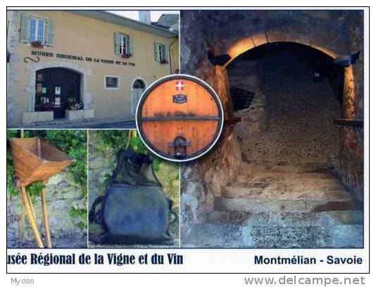 73 MONTMELIAN Musee Regional De La Vigne Et Du Vin, Tonneau Foudre Outre En Peau Casse Cou Grande Cave - Montmelian