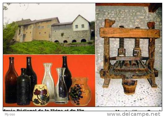 73 MONTMELIAN Musee Regional De La Vigne Et Du Vin, Vaisselle Vinaire Pressoir, Bouteilles, Carafe - Montmelian