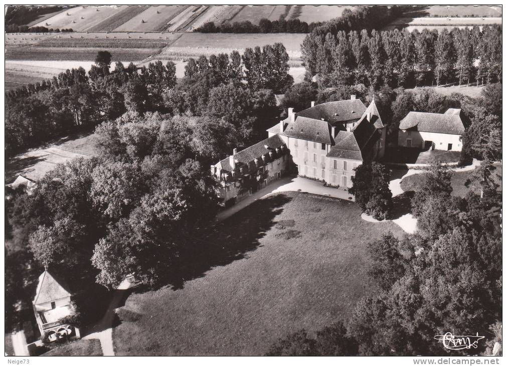 Carte Postale Des Années 50-60 De L´Isère - Brangues - Vue Aérienne - Le Château - Brangues