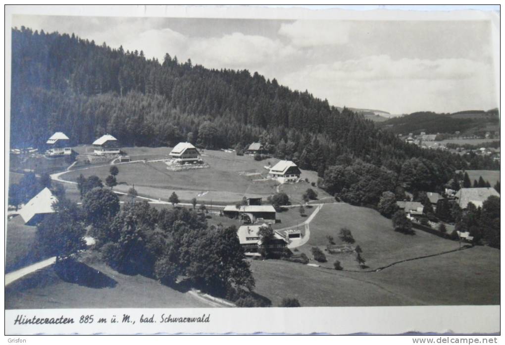 Schwarzwald - Hinterzarten