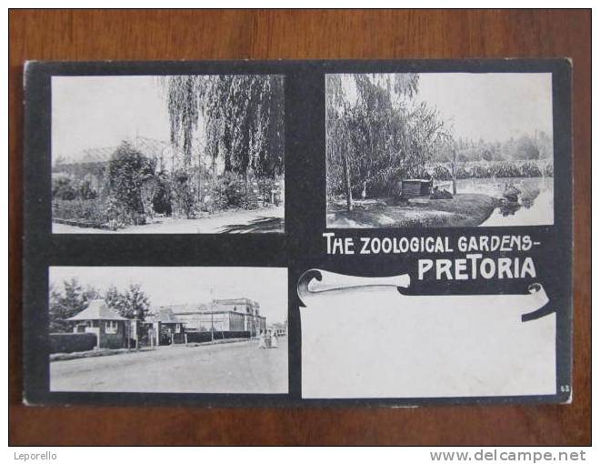 AK PRETORIA Zoo Zoological Garden Ca.1915  //  D*4376 - Südafrika