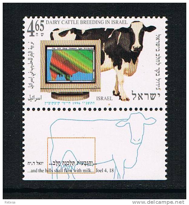 ISRAEL  VEETEELT MELKKOEIEN    1996 ** MET TAB - Vaches